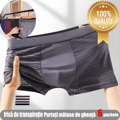 💥🔥【6 sztuk 】Nowa męska bielizna siatkowa na wiosnę i lato 2024 (L-5XL)